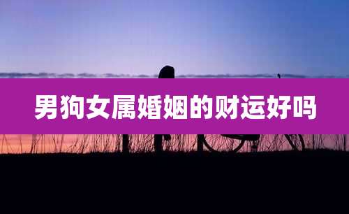 男狗女属婚姻的财运好吗