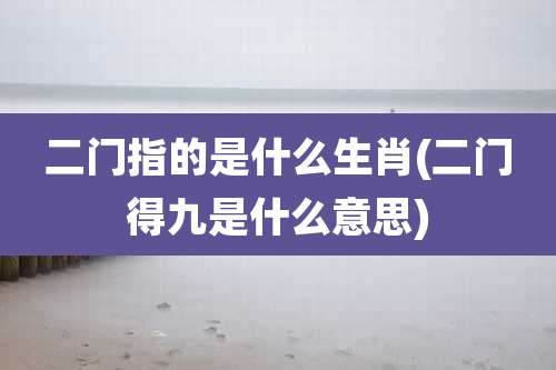 二门指的是什么生肖(二门得九是什么意思)