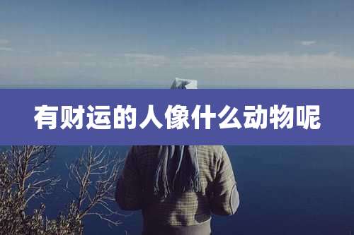 有财运的人像什么动物呢