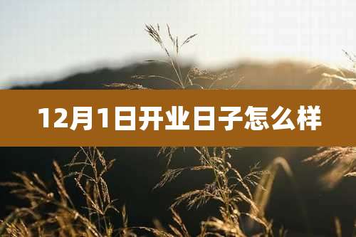 12月1日开业日子怎么样