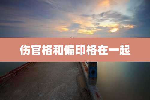 伤官格和偏印格在一起