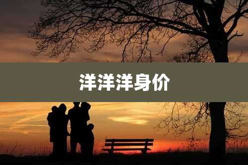 洋洋洋身价