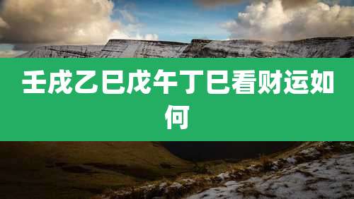 壬戌乙巳戊午丁巳看财运如何