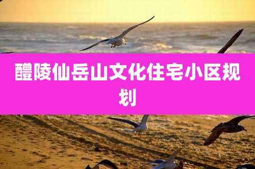醴陵仙岳山文化住宅小区规划