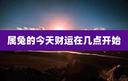 属兔的今天财运在几点开始