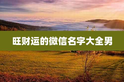 旺财运的微信名字大全男