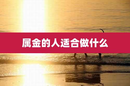 属金的人适合做什么