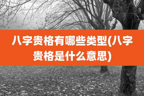 八字贵格有哪些类型(八字贵格是什么意思)