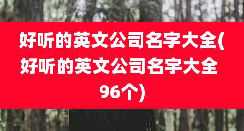 好听的英文公司名字大全(好听的英文公司名字大全 96个)