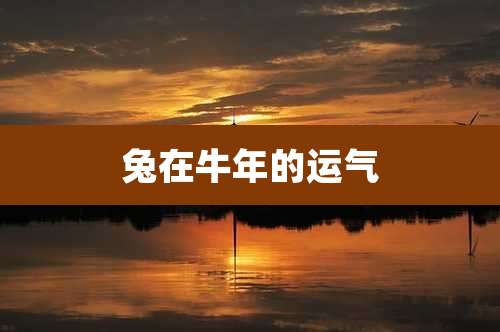 兔在牛年的运气