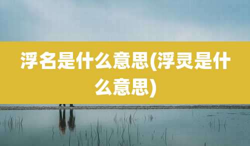 浮名是什么意思(浮灵是什么意思)