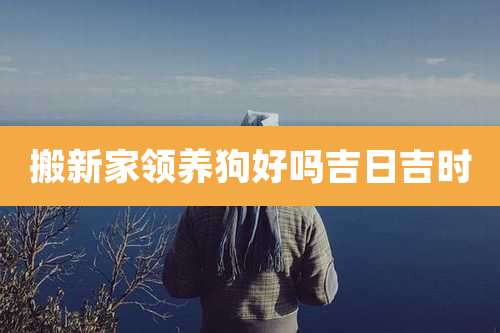 搬新家领养狗好吗吉日吉时
