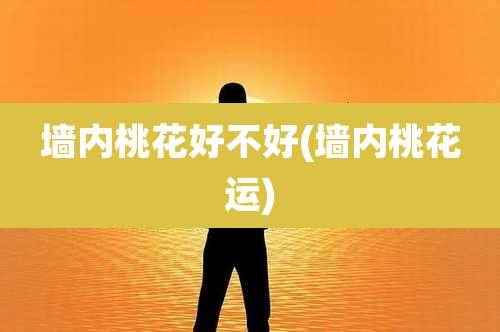 墙内桃花好不好(墙内桃花运)