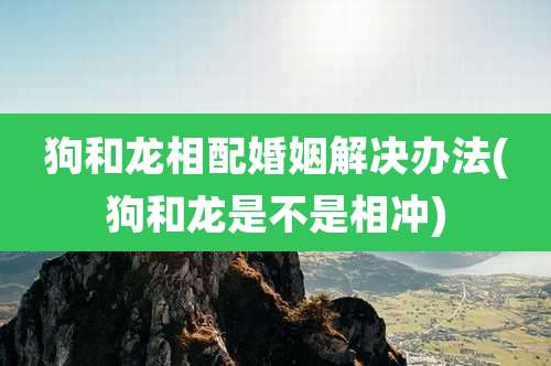 狗和龙相配婚姻解决办法(狗和龙是不是相冲)