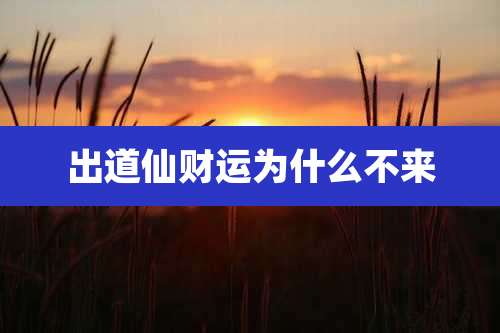 出道仙财运为什么不来