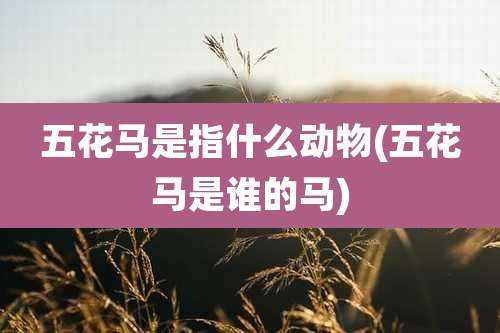 五花马是指什么动物(五花马是谁的马)