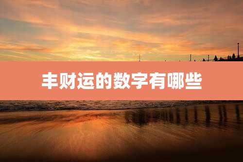 丰财运的数字有哪些