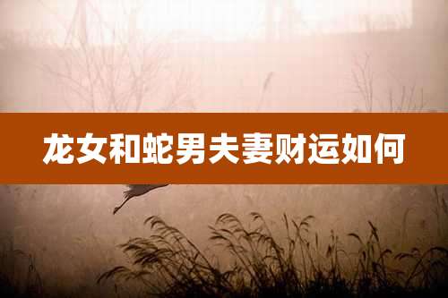 龙女和蛇男夫妻财运如何
