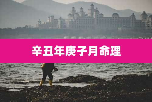 辛丑年庚子月命理
