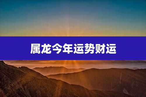 属龙今年运势财运