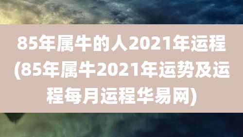 85年属牛的人2021年运程(85年属牛2021年运势及运程每月运程华易网)