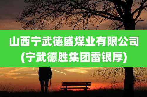 山西宁武德盛煤业有限公司(宁武德胜集团雷银厚)