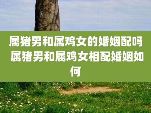 属猪男和属鸡女的婚姻配吗 属猪男和属鸡女相配婚姻如何