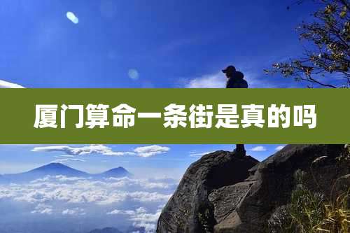 厦门算命一条街是真的吗