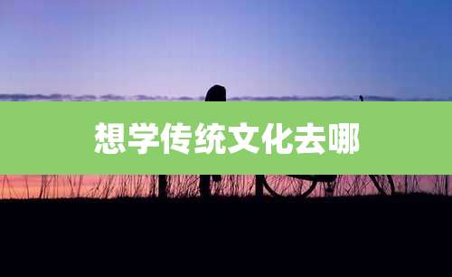 想学传统文化去哪