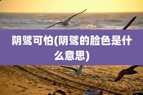 阴骘可怕(阴骘的脸色是什么意思)