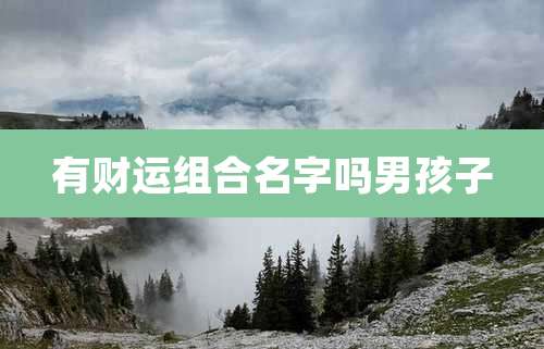 有财运组合名字吗男孩子