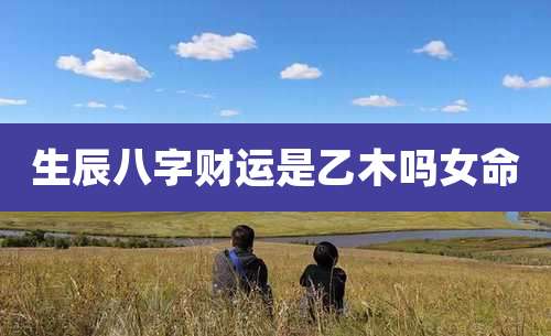 生辰八字财运是乙木吗女命