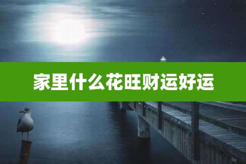 家里什么花旺财运好运