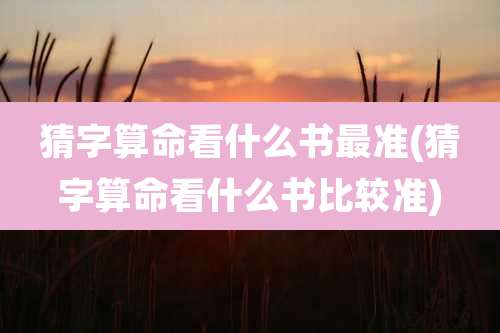 猜字算命看什么书最准(猜字算命看什么书比较准)