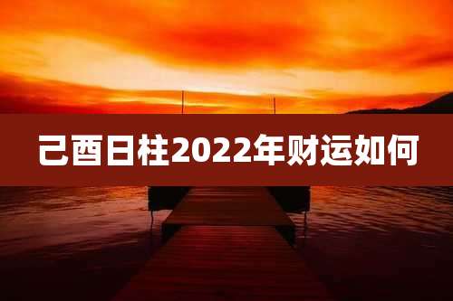己酉日柱2022年财运如何