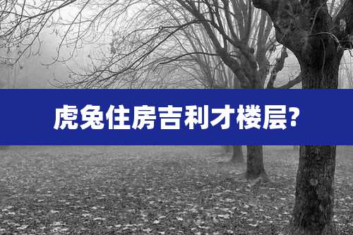虎兔住房吉利才楼层?