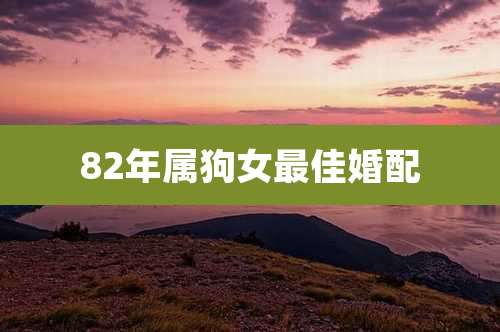 82年属狗女最佳婚配