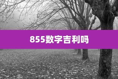 855数字吉利吗
