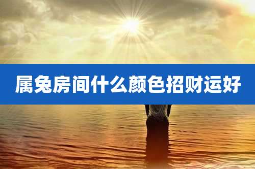 属兔房间什么颜色招财运好