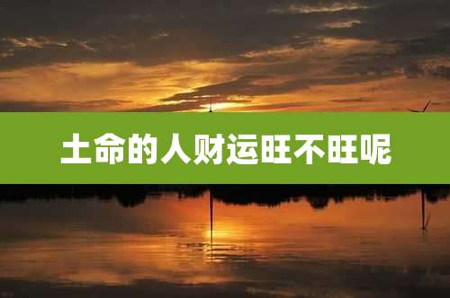 土命的人财运旺不旺呢