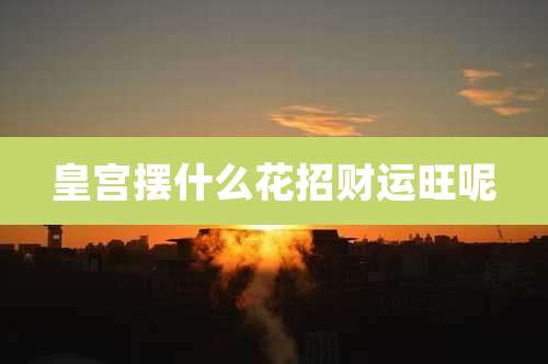 皇宫摆什么花招财运旺呢