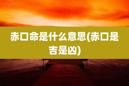 赤口命是什么意思(赤口是吉是凶)