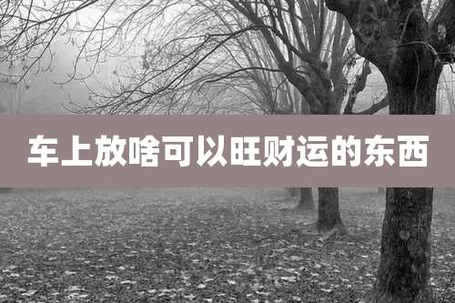 车上放啥可以旺财运的东西