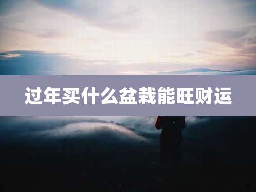 过年买什么盆栽能旺财运