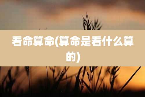 看命算命(算命是看什么算的)