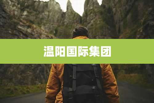 温阳国际集团