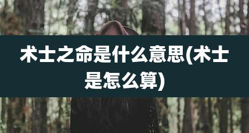 术士之命是什么意思(术士是怎么算)