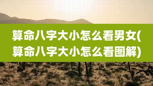 算命八字大小怎么看男女(算命八字大小怎么看图解)