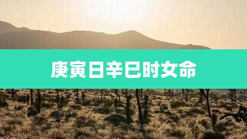 庚寅日辛巳时女命