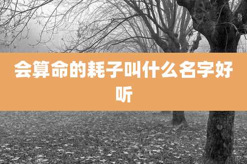 会算命的耗子叫什么名字好听